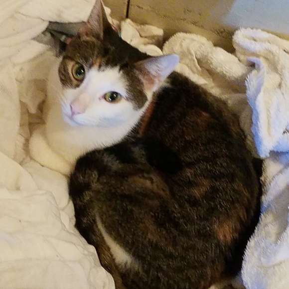 Meet your Posher, Marilyn - Picture 1 of 1